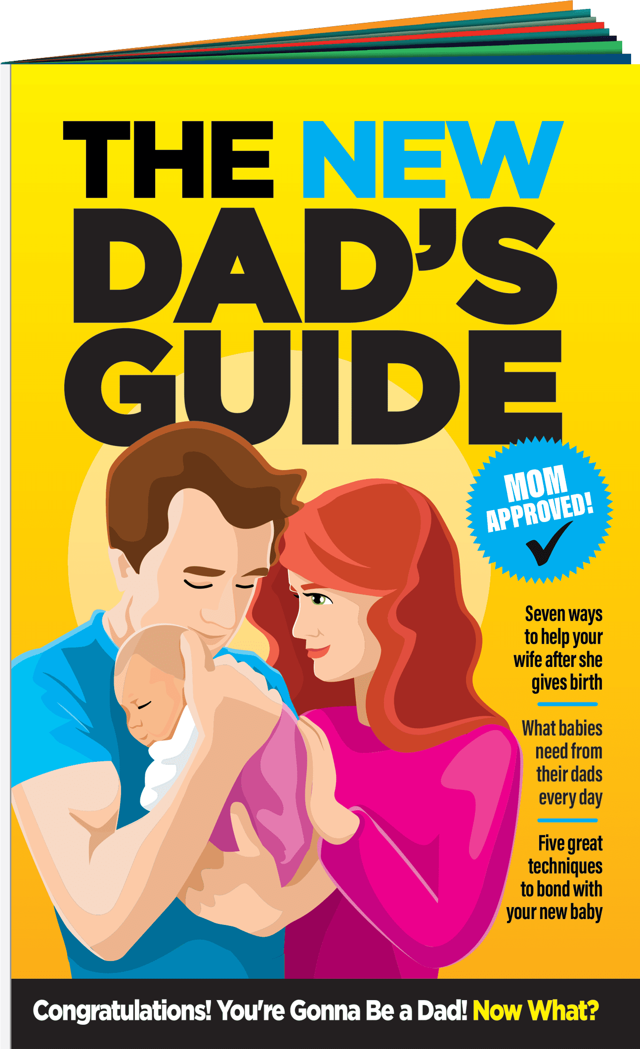 Dads Guide Cover